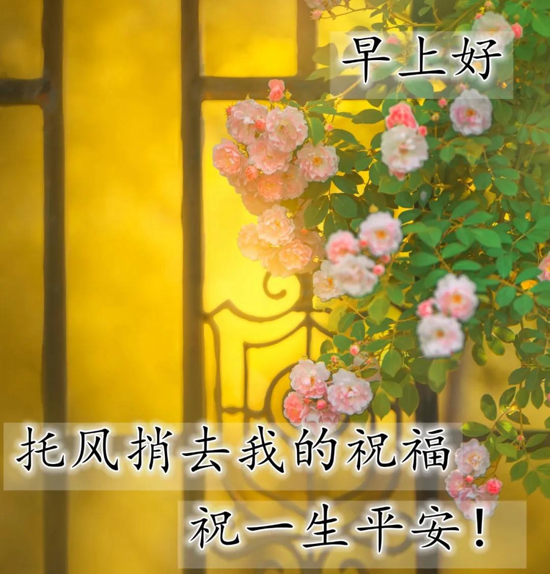 赞美友情的唯美句子发朋友圈（赞美友谊的话简短）