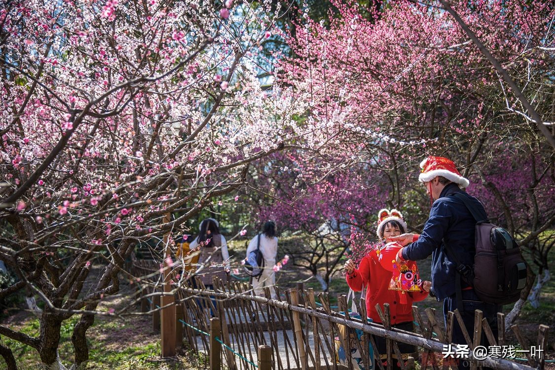 杭州西湖美景介绍（杭州西湖十大著名景点 ）