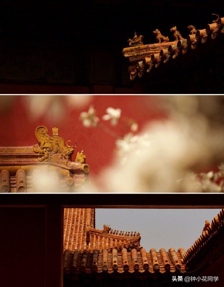 故宫的诗句和名言（描写紫禁城的唯美句子）