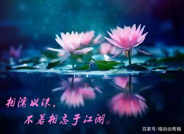 静心的句子诗词（静心做好自己的古诗词）