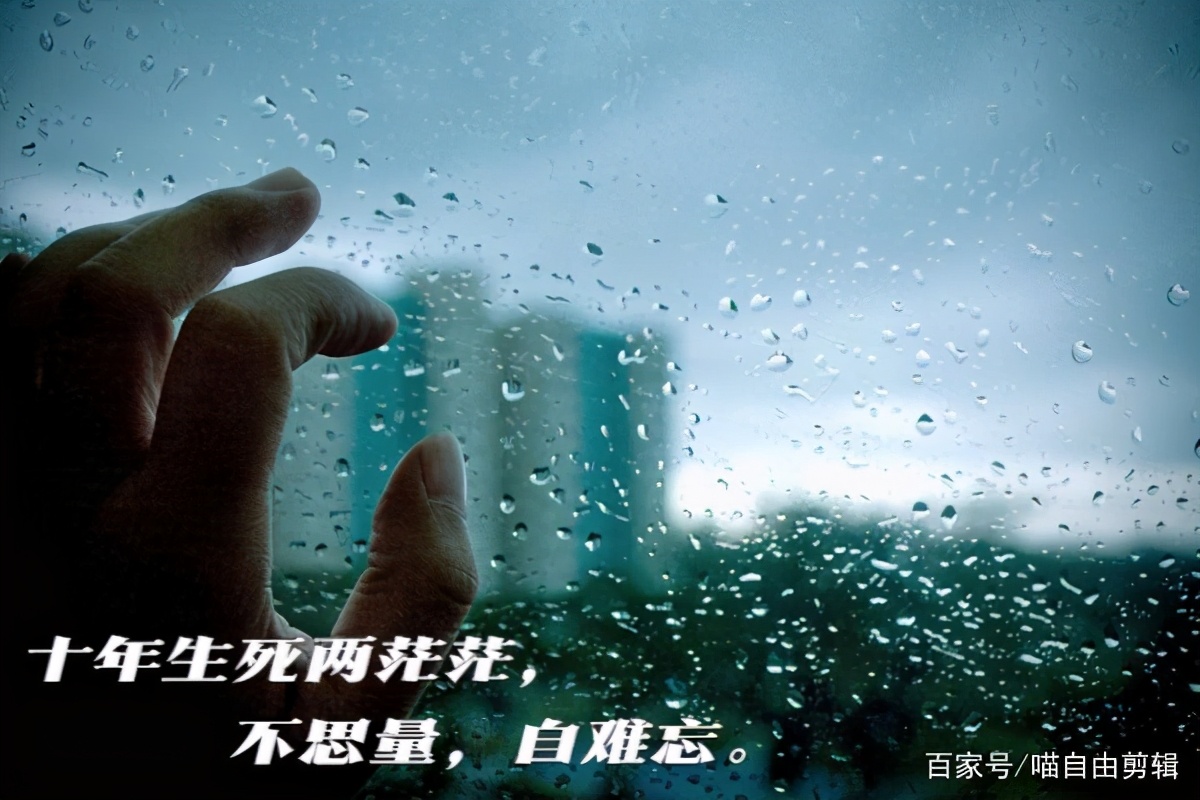 静心的句子诗词（静心做好自己的古诗词）