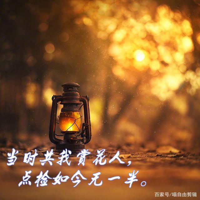 静心的句子诗词（静心做好自己的古诗词）