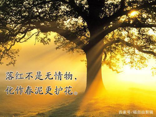 静心的句子诗词（静心做好自己的古诗词）