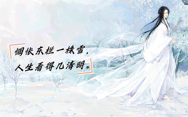 静心的句子诗词（静心做好自己的古诗词）