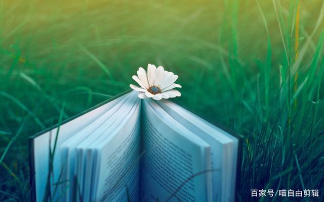 静心的句子诗词（静心做好自己的古诗词）