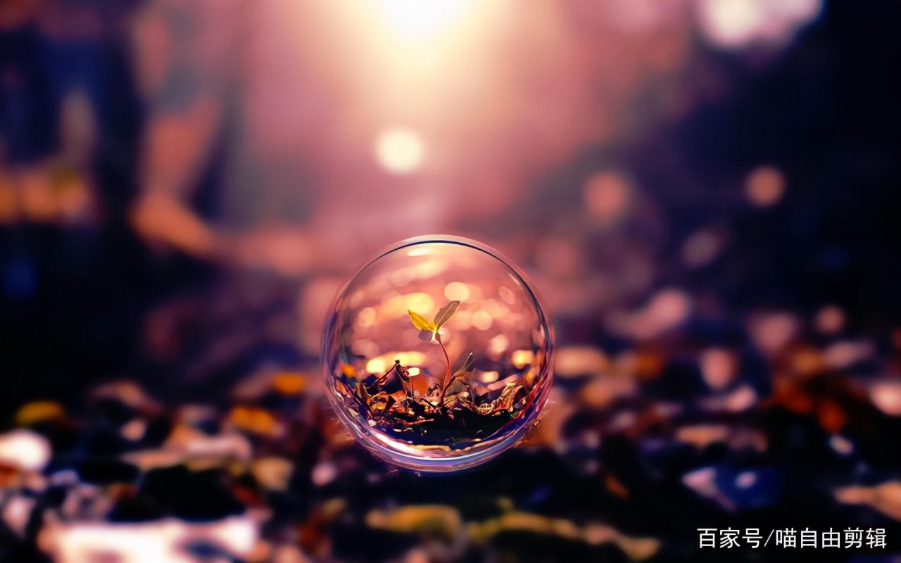 静心的句子诗词（静心做好自己的古诗词）