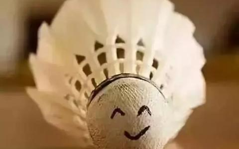 描写打羽毛球的精彩句子（热爱羽毛球运动心语）