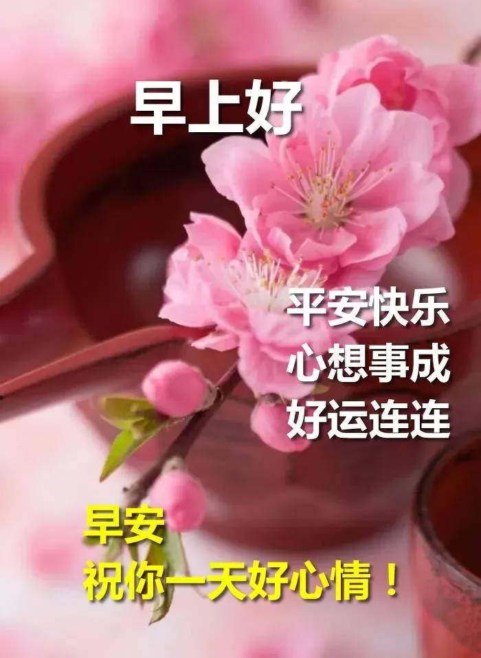 人生苦短下一句怎么接（人生苦短句子精辟）