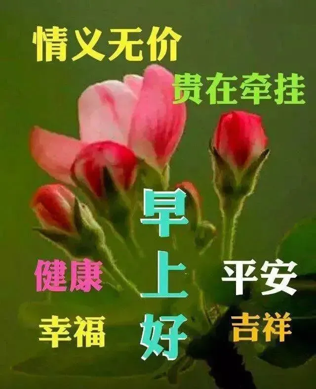 人生苦短下一句怎么接（人生苦短句子精辟）