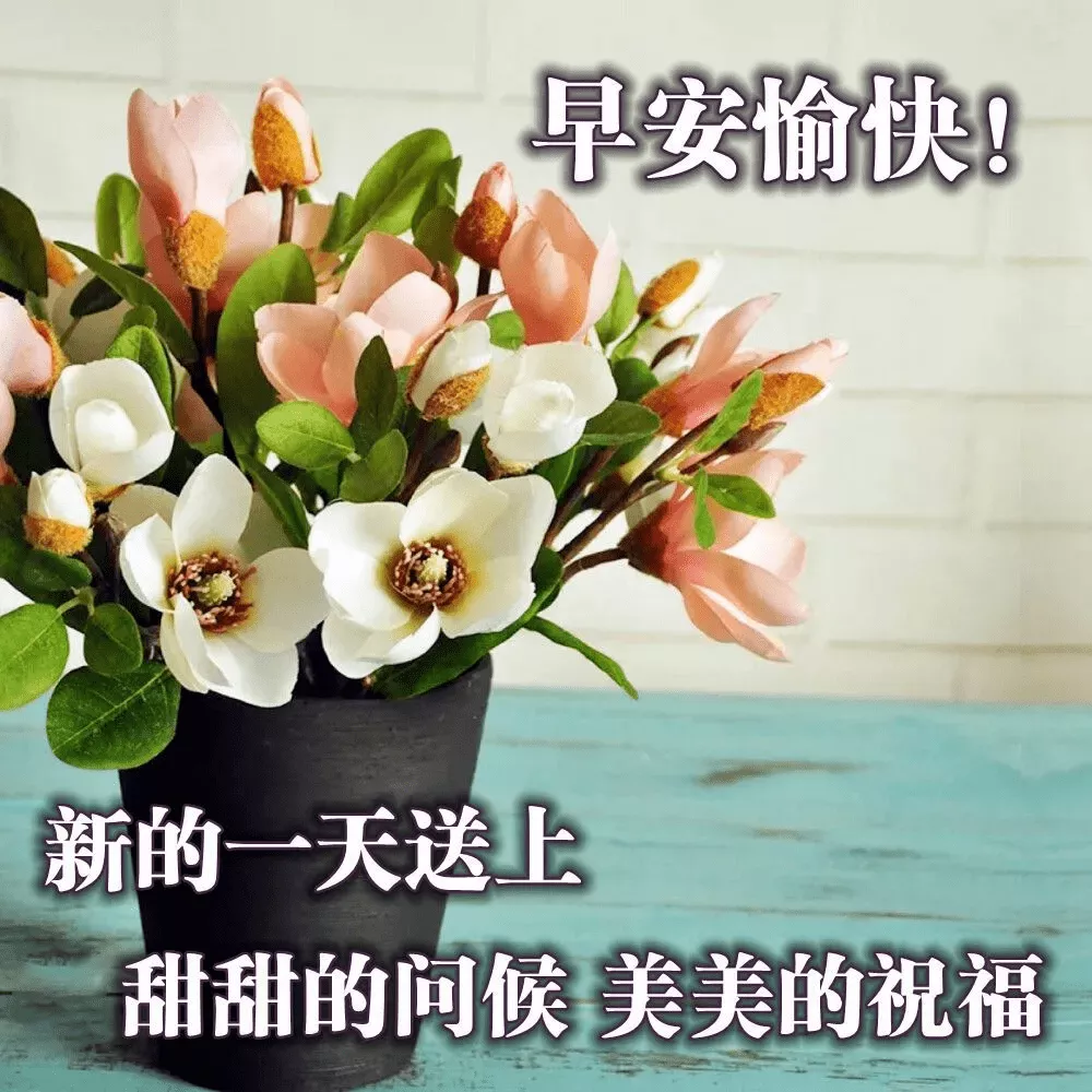 人生苦短下一句怎么接（人生苦短句子精辟）
