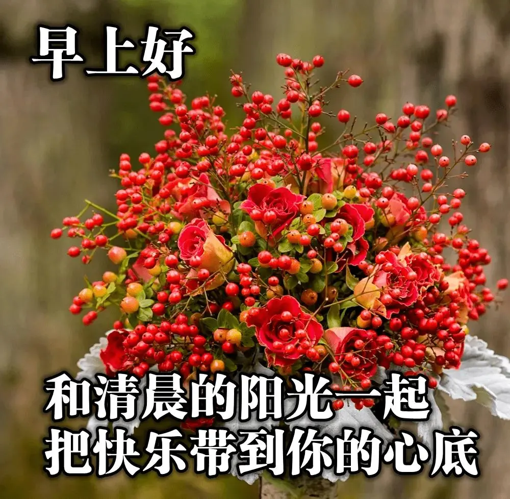 人生苦短下一句怎么接（人生苦短句子精辟）