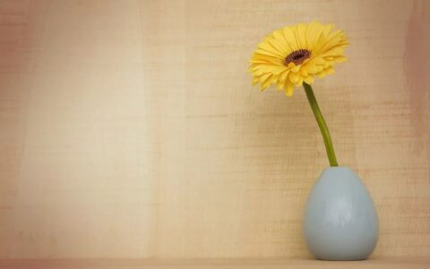 安徒生童话简短小故事（15个短小童话小故事）