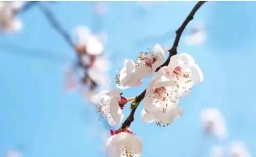 发现美好的句子唯美（致生活中的小美好句子）