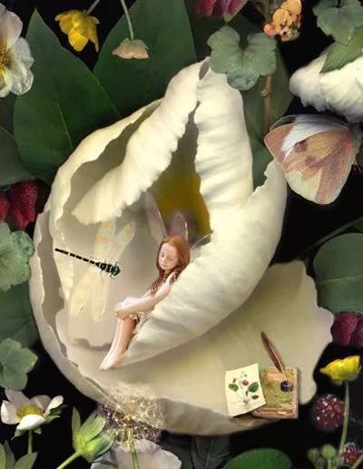 拇指姑娘原文（安徒生童话简短小故事好背）