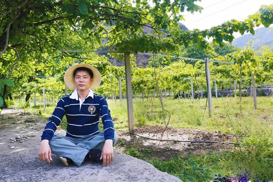 拇指姑娘原文（安徒生童话简短小故事好背）