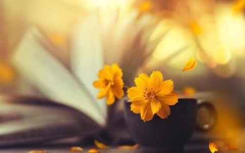 形容人多力量大的句子有哪些（人多力量大的名言名句）