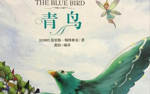 青鸟读后感500字五年级