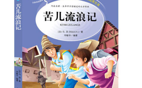 苦儿流浪记读后感600字六年级