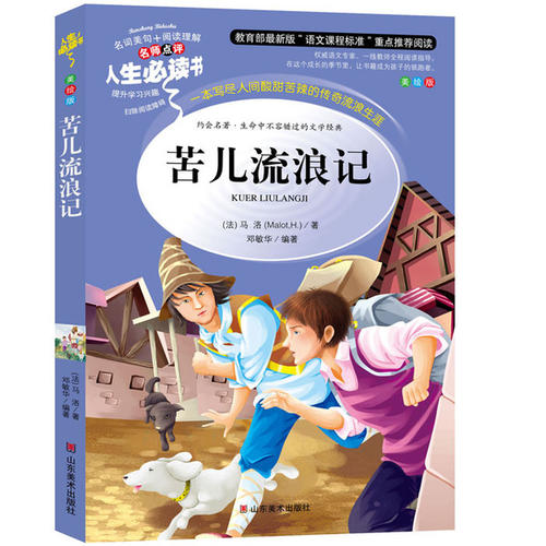 苦儿流浪记