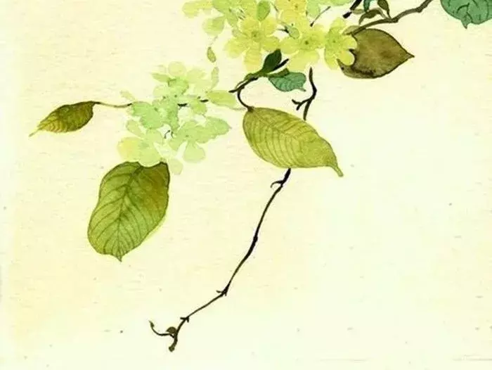 写酒的诗句有些什么（经典饮酒诗句欣赏）