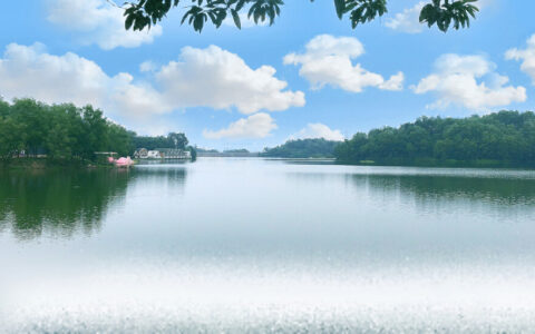 赞美祖国大好河山的诗句（十首大好河山的古诗）