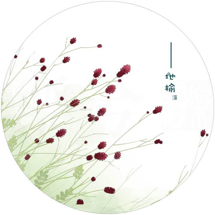 关于绿的诗歌有哪些（赞美绿色的古代诗）