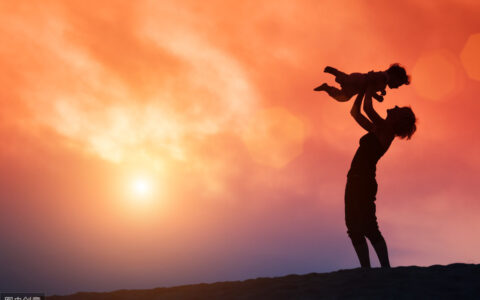 新生命诞生的唯美句子（感悟一个新生命的诞生）