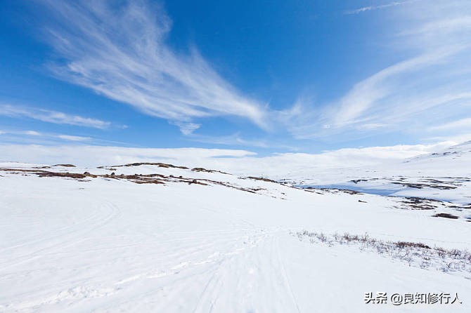沁园春雪原文朗诵稿（沁园春雪全文和解析）