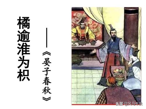 橘逾淮为枳文言文翻译及原文（橘逾淮为枳文言文启示）