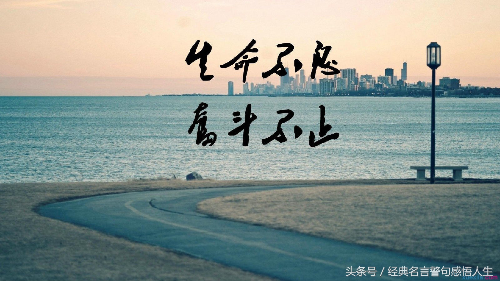 成功励志故事大全（5个经典激励故事）