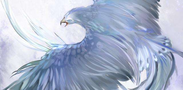 北冥有鱼翻译及原文（北冥有鱼出处介绍）