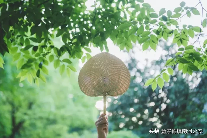 关于夏天的诗句古诗（有关夏天的诗句古诗大全）