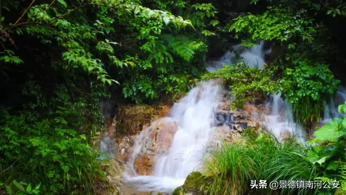关于夏天的诗句古诗（有关夏天的诗句古诗大全）