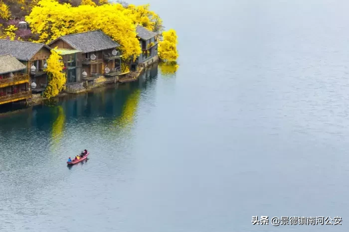 关于夏天的诗句古诗（有关夏天的诗句古诗大全）