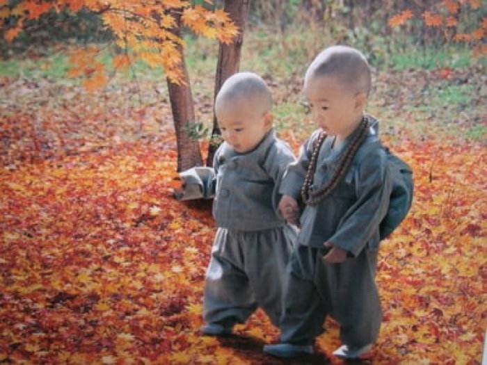 短篇幼儿故事50字（又短又好的童话故事）