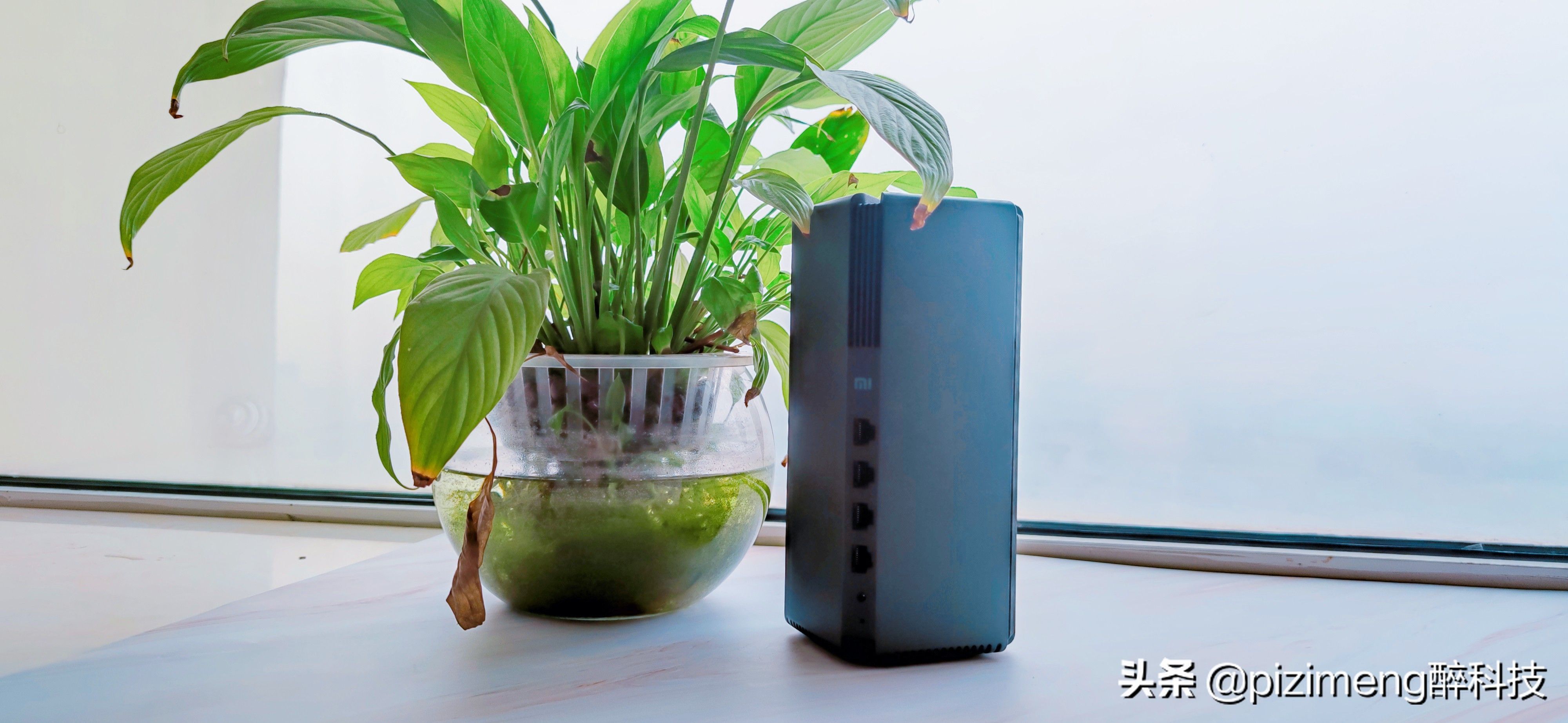 全新小米AX3000路由器(小米AX3000路由器)