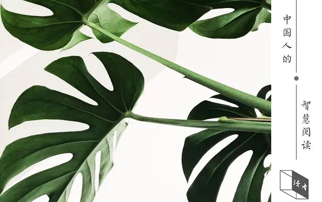 美词美句摘抄大全（抄写优美的好词好句）