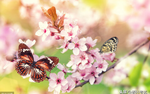 春夏秋冬四季古诗有哪些（春夏秋冬四季古诗词大全）