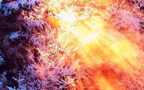 感恩诗句古诗大全（关于感恩的古诗词名句）