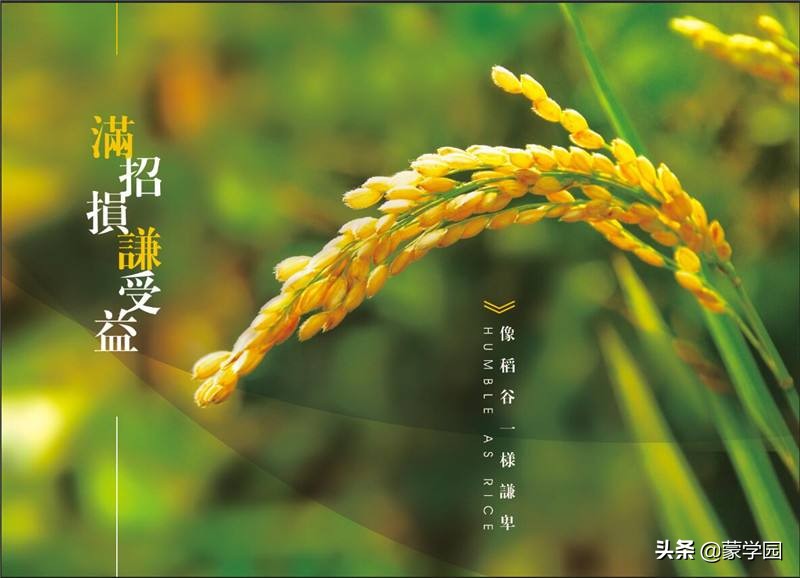 中国古典诗词名句大全（150句古典诗词唯美摘抄）