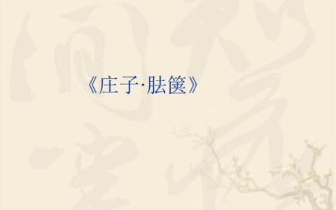 胠箧原文及翻译共有多少字（胠箧原文及翻译及注音）