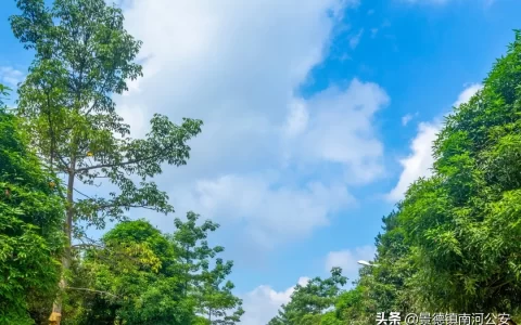 描写乡村生活的古诗有哪些（乡村振兴简短的优美句子）