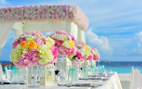 诗经爱情诗句经典语录（诗经里表白爱意的句子）