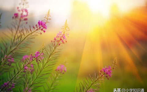 无什么无什么的成语（带无不同结构的成语）