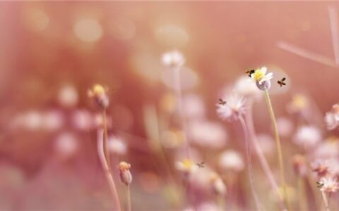 振奋人心的句子励志（干净简短的励志句子）