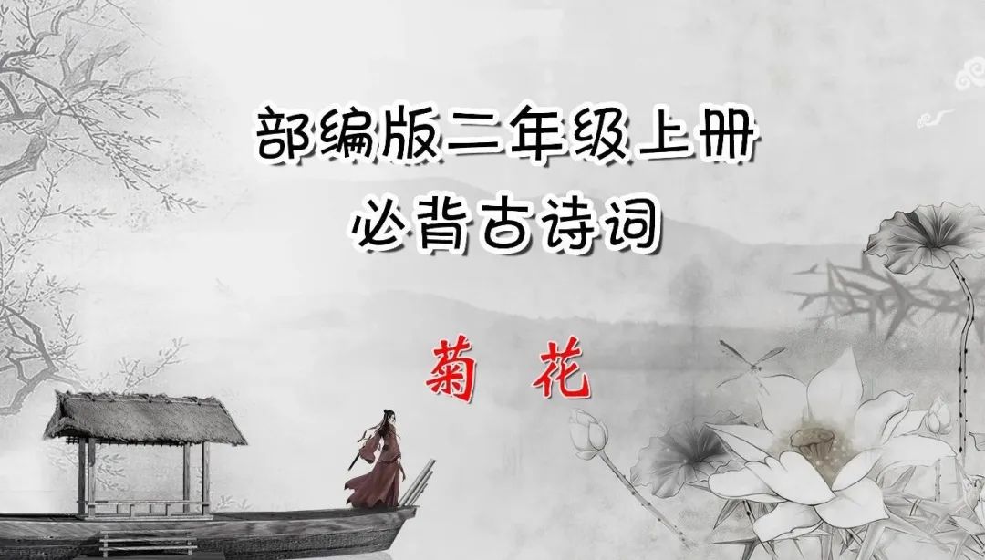 菊花古诗拼音版（最经典的菊花诗）