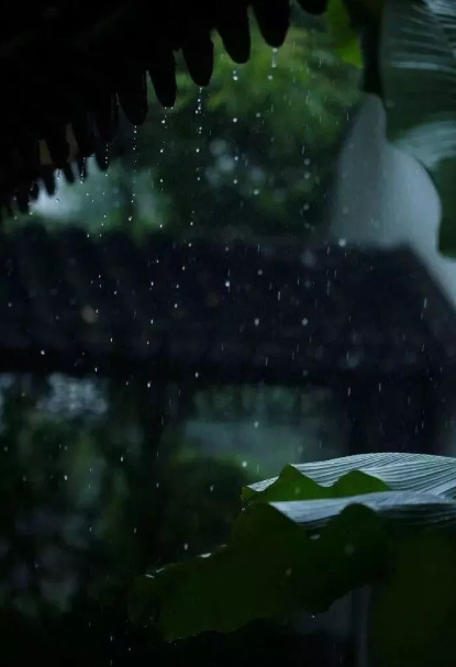 描写暴雨的句子佳句（形容暴雨的好词好句）