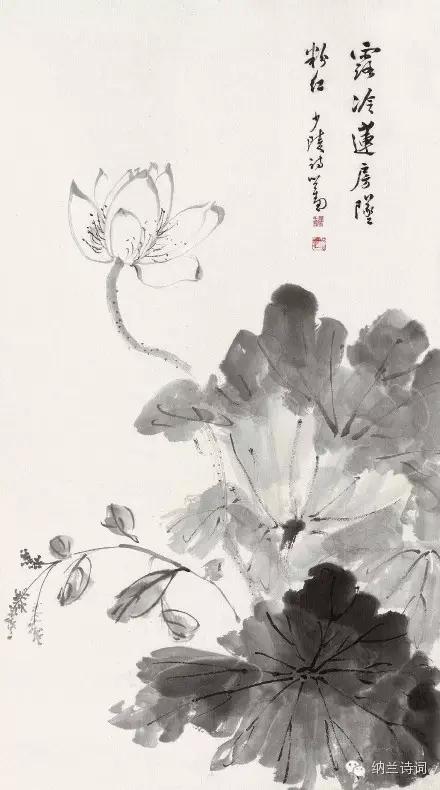 卜算子古诗意思（卜算子古诗全文）
