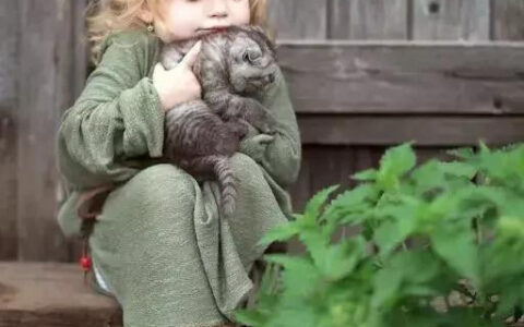 阳光明媚下一句接什么（阳光明媚的心情短句）