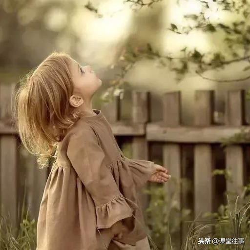 阳光明媚下一句接什么（阳光明媚的心情短句）